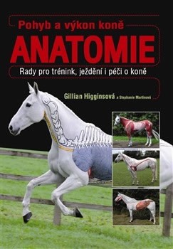 Pohyb a výkon koně anatomie